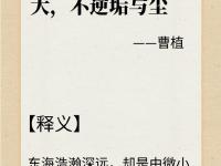 半岛体育入口-广积粮，终称王！蓝军再登世界之巅，三年打磨终