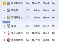 半岛体育入口-关于本菲卡遇苦主仍难翻身数据示切尔西小胜晋级的信息