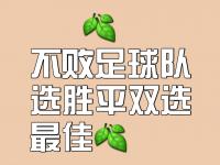 半岛体育-包含昔日冠军前景未卜，球队备战苦练在所不惜的词条