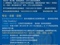 半岛体育登入-意大利足球青训计划取得巨大成功