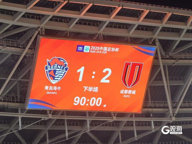 关于足协杯-韦世豪双响上半时两张直红蓉城2-1海牛进四强的信息