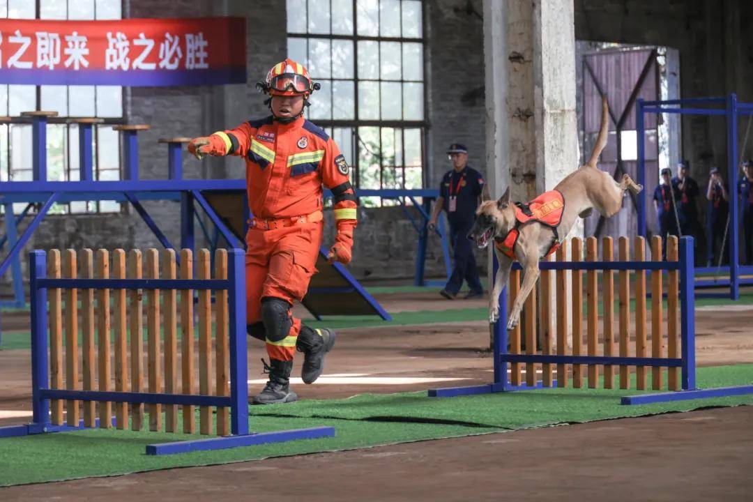 技战术巧妙！强队对决场上尽显风采
